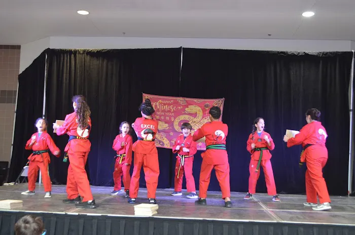 Excel Martial Arts Picture 7