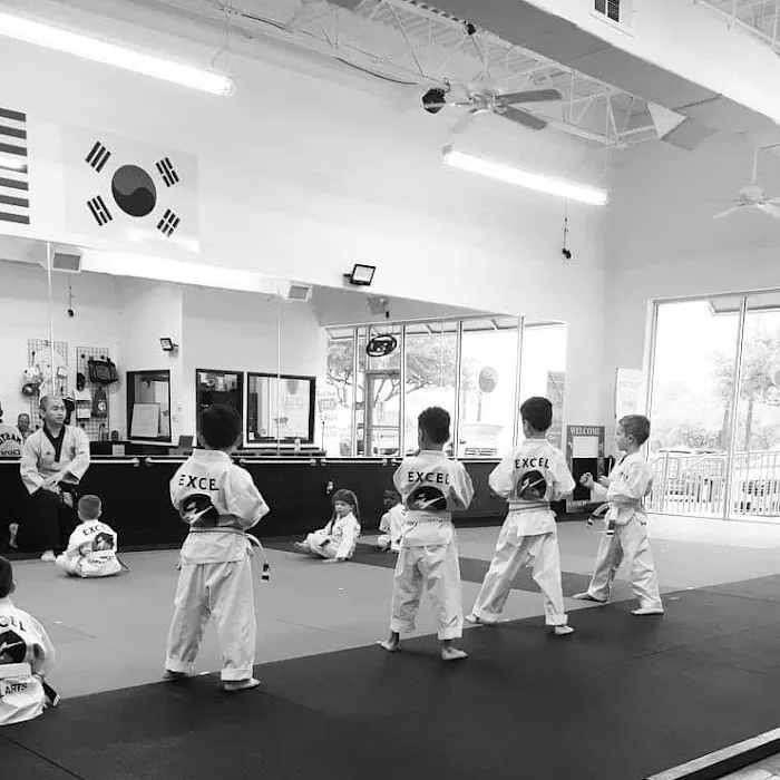 Excel Martial Arts Picture 6