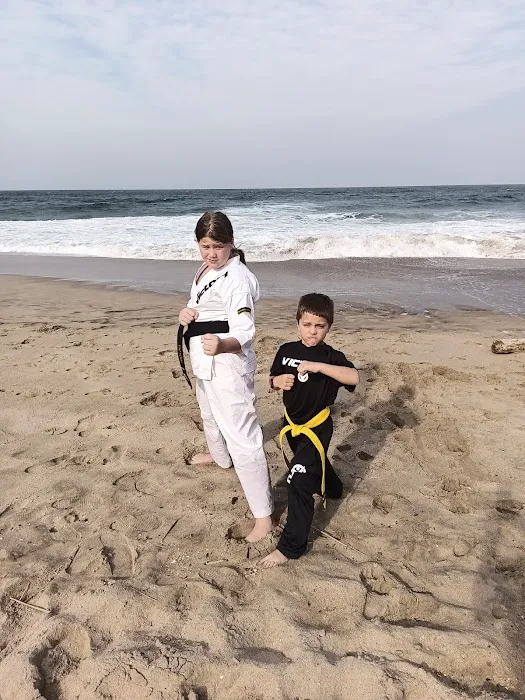 Victory Martial Arts - Hardy Oak Picture 4
