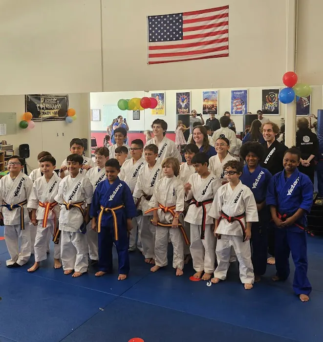 Victory Martial Arts - Hardy Oak Picture 10