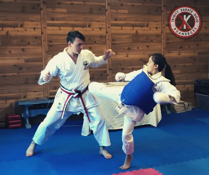 Trinity Karate Dojo Picture 10