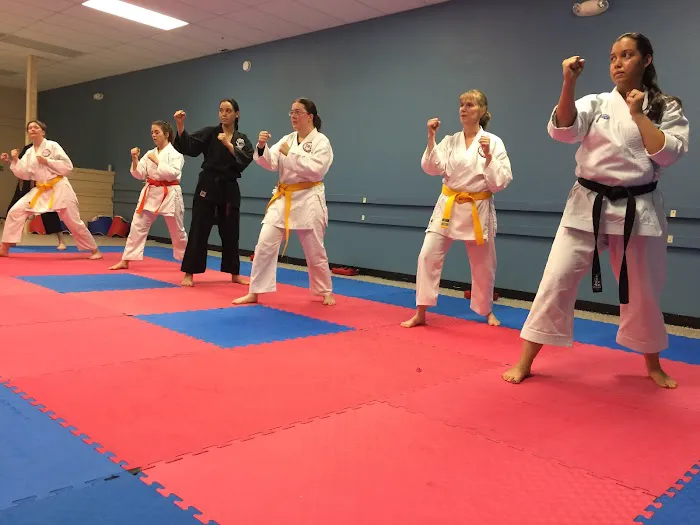 Trinity Karate Dojo Picture 9