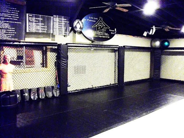 Inochi Mixed Martial Arts Academy - Paul Haben Picture 2