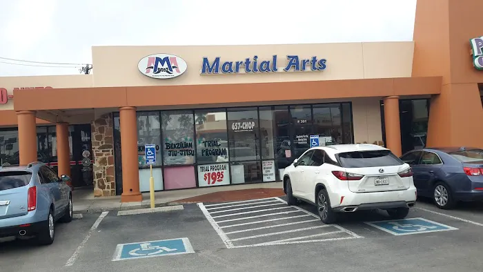 Academy For the Martial Arts Picture 3