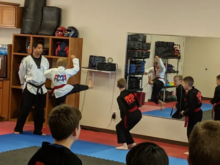 Academy For the Martial Arts Picture 4