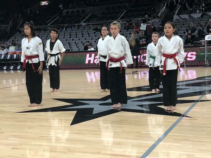 Academy For the Martial Arts Picture 9