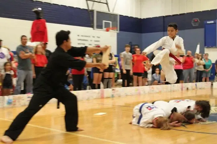 Academy For the Martial Arts Picture 10