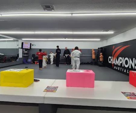 Championship Martial Arts - Bulverde