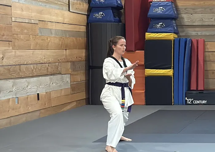 Torvik Martial Arts Picture 3