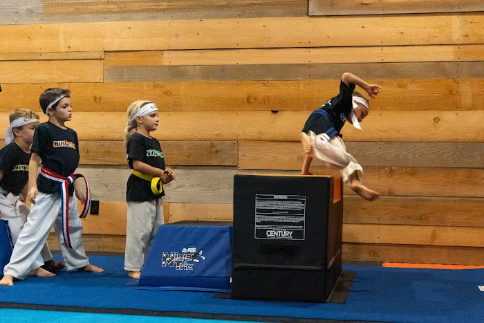 Torvik Martial Arts Picture 1