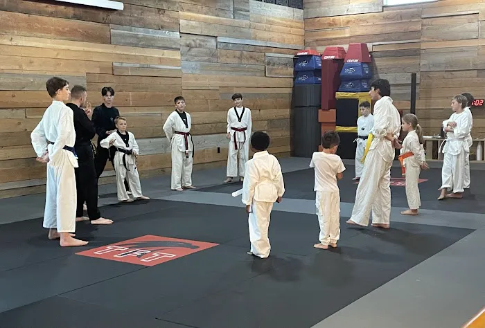Torvik Martial Arts Picture 7