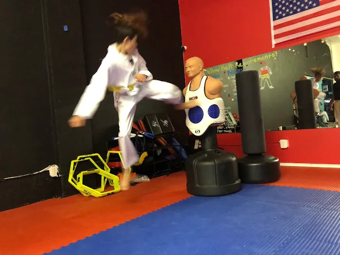 COLOSSAL TAEKWONDO Picture 1
