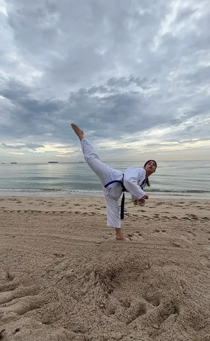 COLOSSAL TAEKWONDO Picture 4