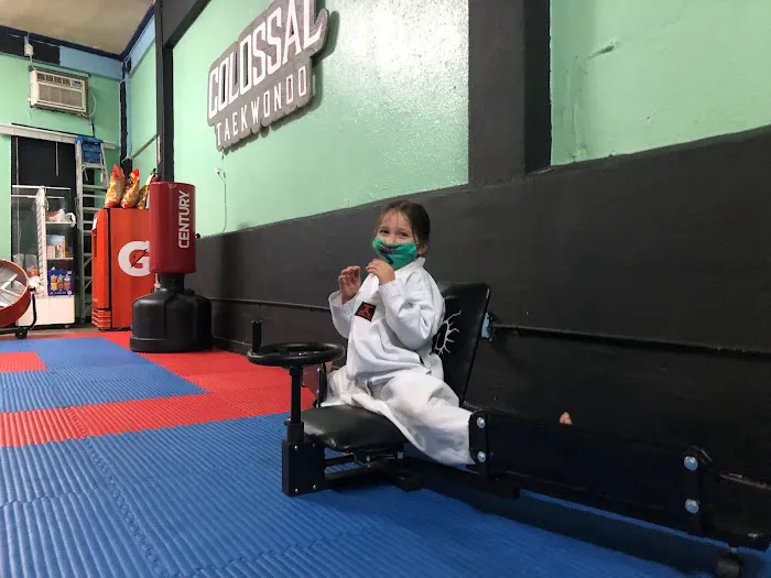 COLOSSAL TAEKWONDO Picture 5