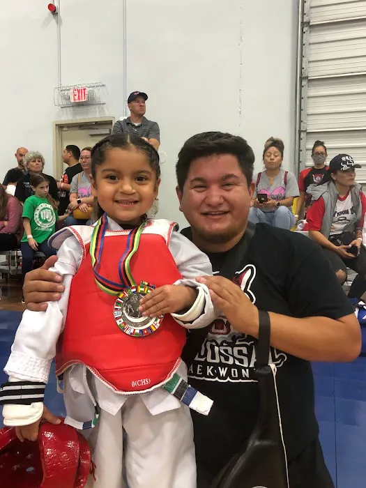 COLOSSAL TAEKWONDO Picture 9