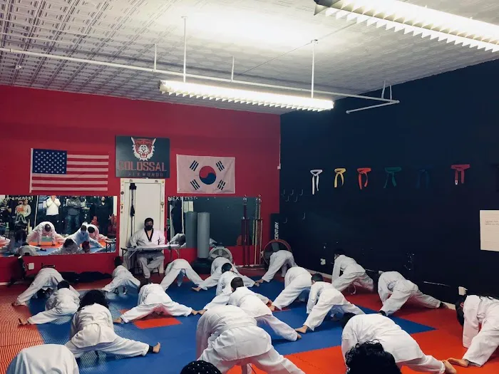 COLOSSAL TAEKWONDO Picture 10