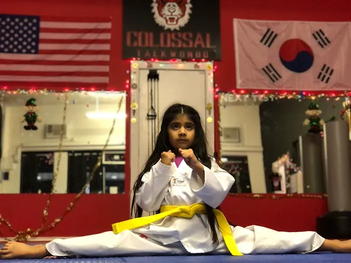 COLOSSAL TAEKWONDO Picture 8