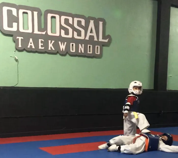 COLOSSAL TAEKWONDO Picture 7