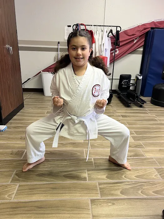 Jaguar Dojo Picture 4