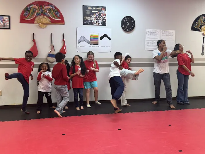 Jaguar Dojo Picture 9