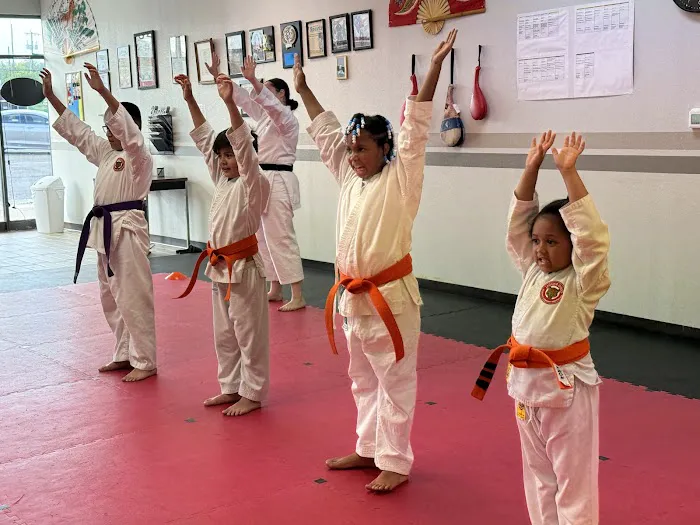 Jaguar Dojo Picture 5