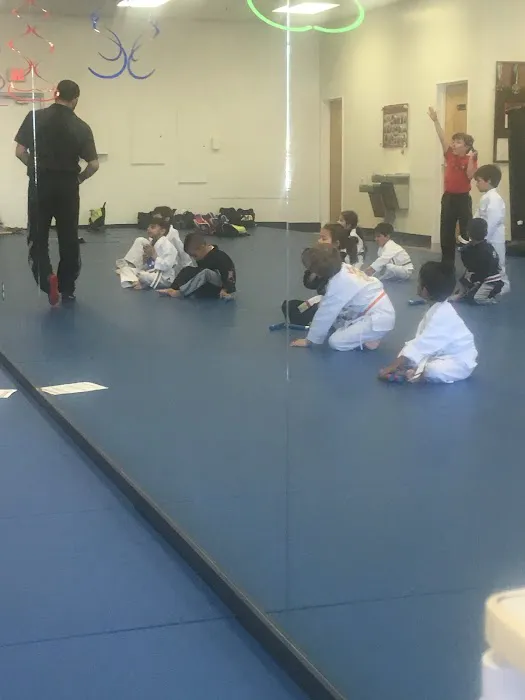Victory Martial Arts - Stone Ridge Picture 3