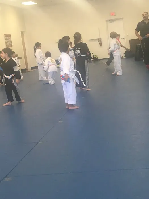 Victory Martial Arts - Stone Ridge Picture 2