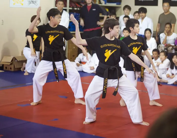 Elite Karate Picture 1
