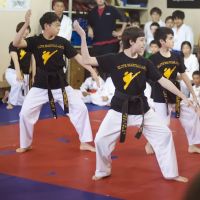 Elite Karate ico