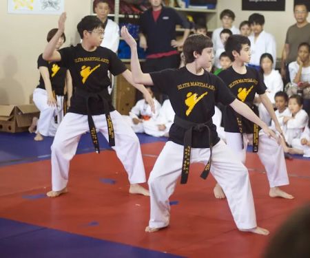 Elite Karate