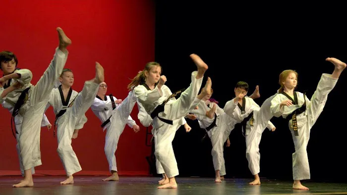 Elite Karate Picture 4