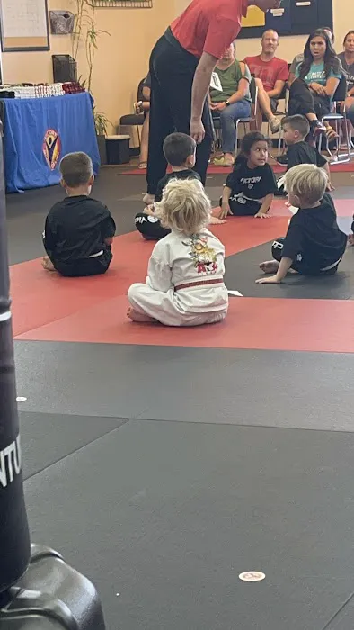 Victory Martial Arts - Stone Oak Picture 8