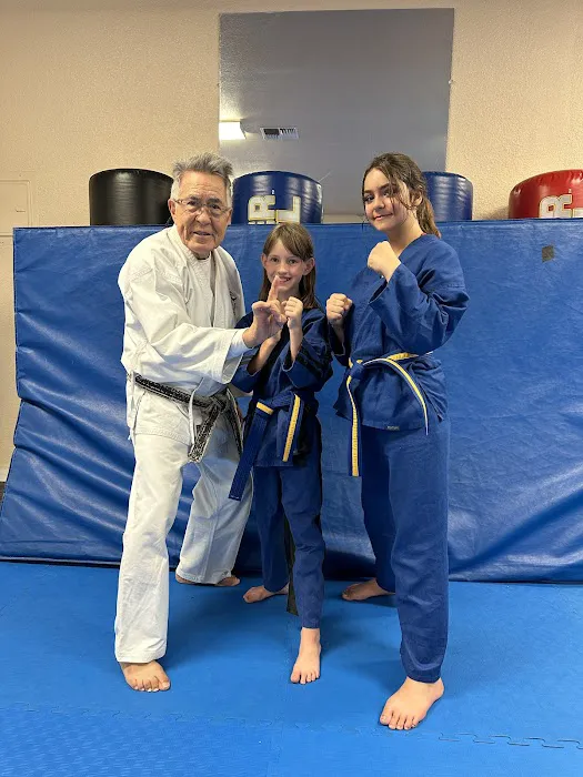 Talamantez Family Karate Center Picture 5