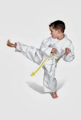 Momentum Martial Arts Picture 2