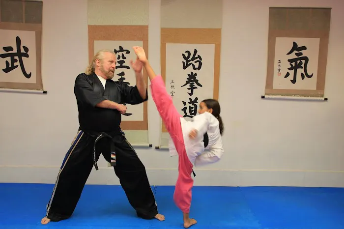 Ashcraft's Martial Arts Center Picture 8