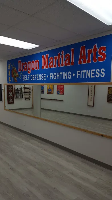 Dragon Martial Arts Picture 1