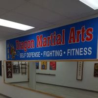 Dragon Martial Arts ico