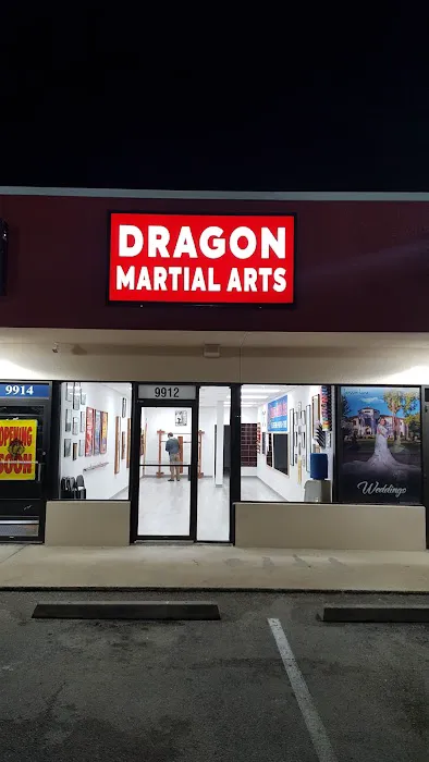 Dragon Martial Arts Picture 9