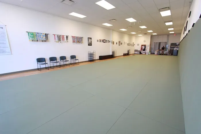 Semper Fortis Jiu Jitsu Picture 5