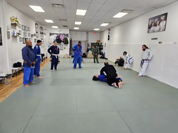 Semper Fortis Jiu Jitsu Picture 1