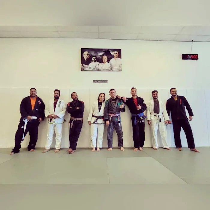 Semper Fortis Jiu Jitsu Picture 9