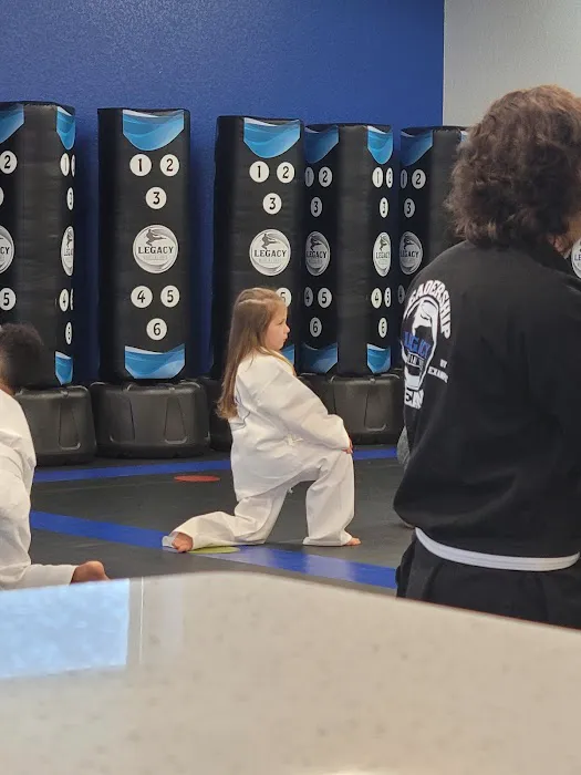 Legacy Martial Arts Picture 3