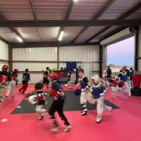 Strikers Taekwondo ico