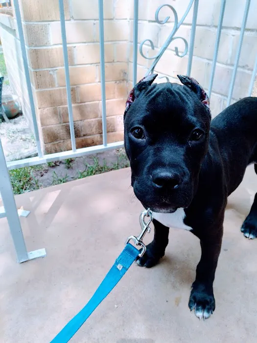 Lozano's Martial Arts Studio Picture 3