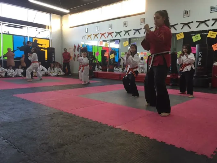 Championship Martial Arts - San Antonio Picture 3