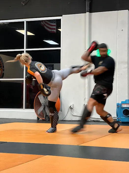 Rodrigo Pinheiro Brazilian Jiu-Jitsu Picture 3