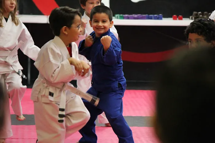 Saldivar Martial Arts Picture 7