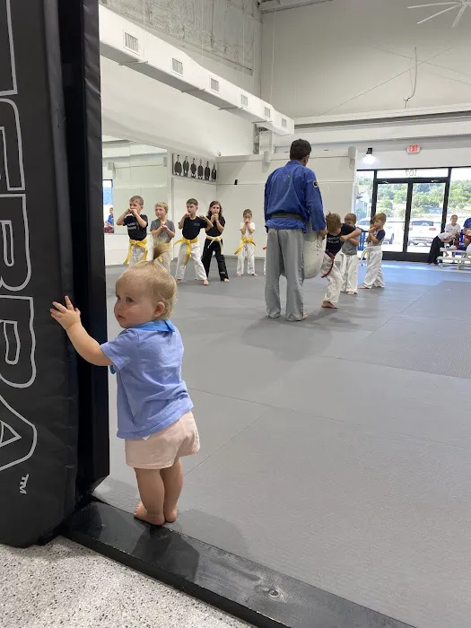 World Karate Boerne Picture 4