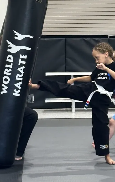 World Karate Boerne Picture 2