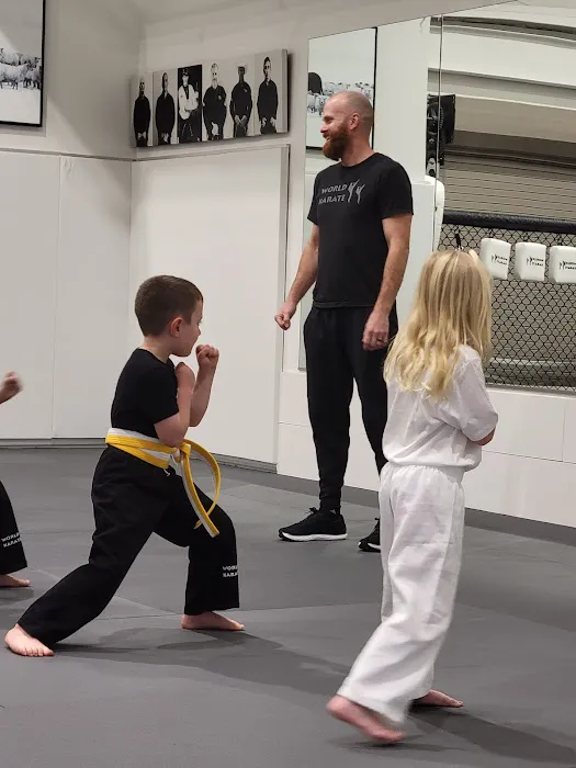 World Karate Boerne Picture 6